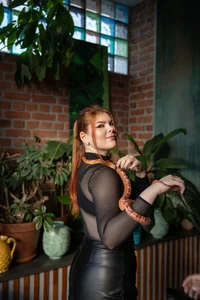 Zdjęcia Ffoxyflame snakes:  7