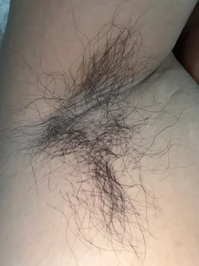 Cunzhangshibage02 腋下 圖片 2