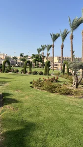 GentleRossi Egypt🇪🇬  6. fénykép