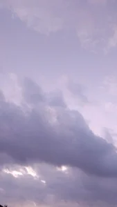 rodovlaz Public صورة واحدة|rodovlaz Public صورتان|rodovlaz Public  صور|rodovlaz Public  صورة