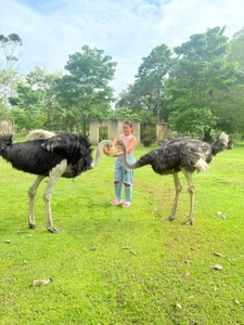 Zdjęcia Tatiana24_ Me:  2