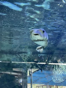 AresMassimoX How beautiful nature is🌎 Pic 2