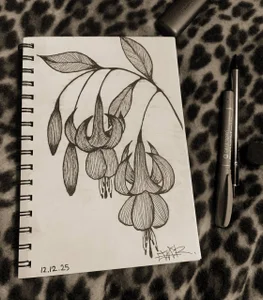 XxDarkAngelxXX I love to draw😏 Pic 3