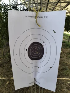 chenko93 Public 사진 5