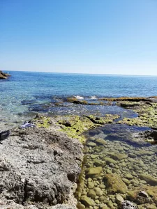 Public de Doudou1  photos