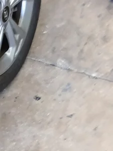 gmanvick3 Public Pic