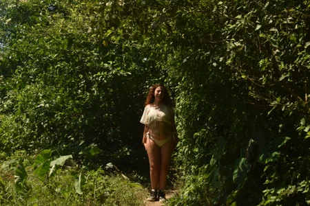 Annycolin_のP A L O M I N Oの枚の写真