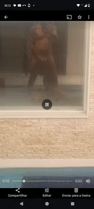 jacaranduba07 Public Pic 3