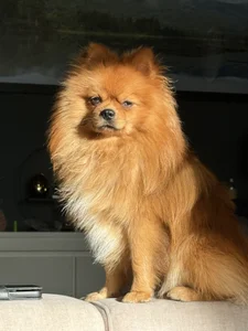 CurvyKimmy1 Love bug Pic 3