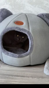 Zdjęcia MelissaMelrey ☀️:  3