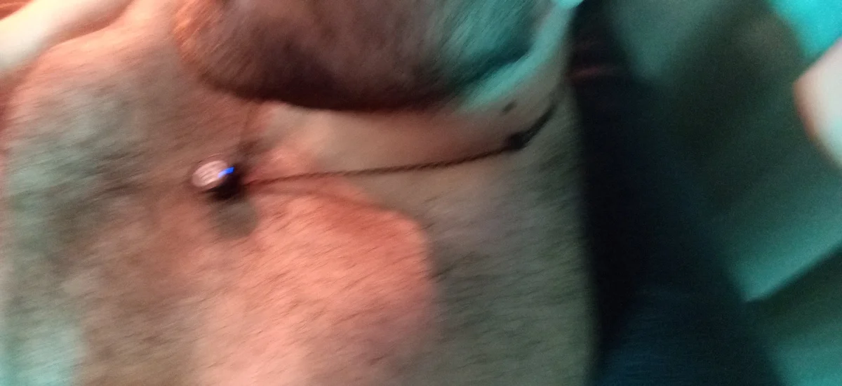 big__bearrr Populært bilde 4753