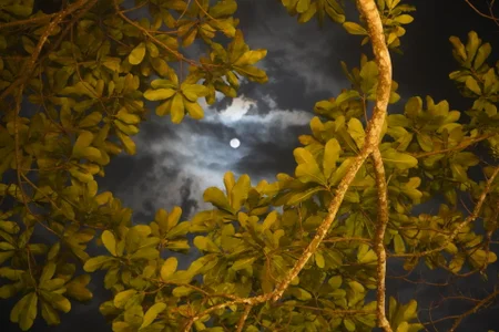 sashaHarding11 Public Hình 3