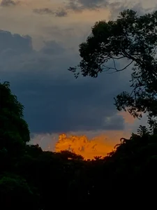 AngelDuster__ Nature and its beauty 🔥 Bilde