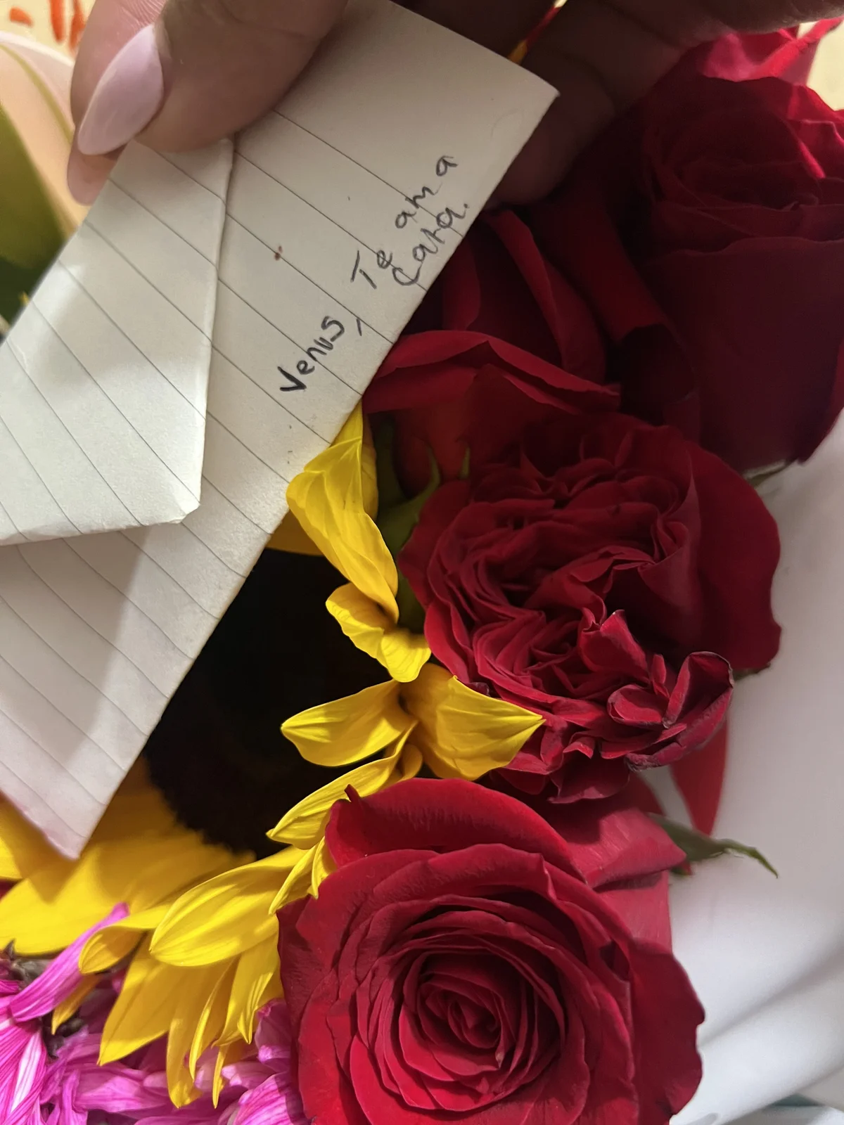 صور KendaallFox_ الرائجة  8474