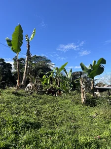 SOFIA_BRIZZ: Public ( 2 фото)