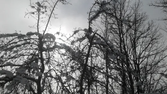 ExquisiteMature Winter Sun Poză 6