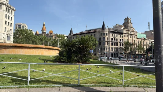 AmbeerWood_ a walk in Barcelona Foto 6