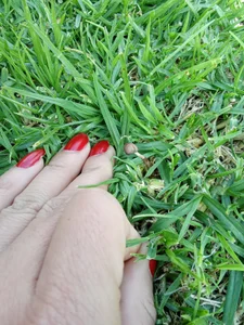 And if the sun shines because it's old. de VelvetKiM_91  4 Imagens