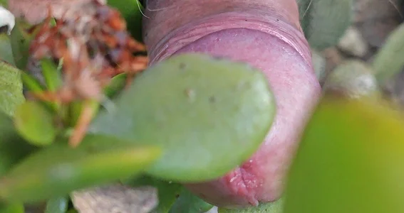 jhonschen's Nudo tra la natura Sex Photo 1