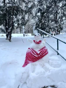 EvaThopsonwinter❄️图片 3