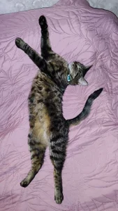 VandaRossiのMy favorite Splyushka😻 Splyushka will be glad of your financial support♥の 5枚の写真