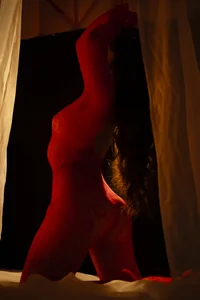 Raven_Luxx VEILED SILHOUETTES ✨🖤 사진 6