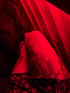 Party 🕷️☠️🖤🕸️🩸 od Nocturnapsy  3 snímek