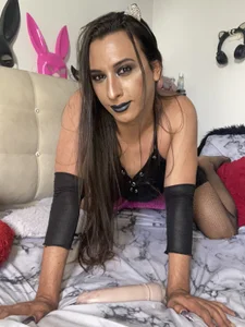 dangerous_bitch Cat black Pic 4