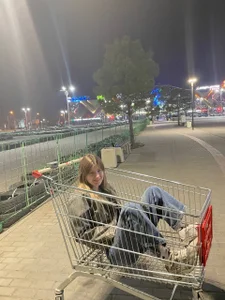 Kate_Jomallona kullanıcısının Public albümü -  4 fotoğraf