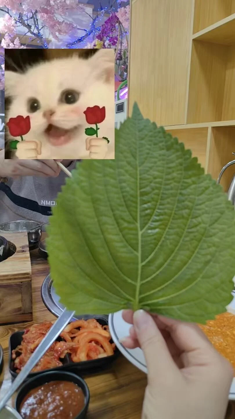 YHZHA Poză populară 8153