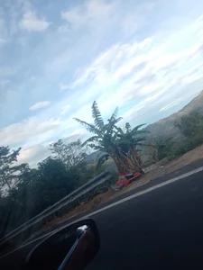 joan-star Vacation Pic 6