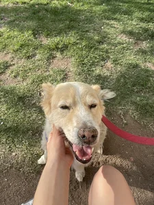 Marestrella-25 Public Foto 2