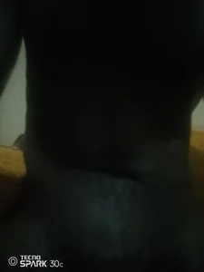 Papathic Public Poză 6