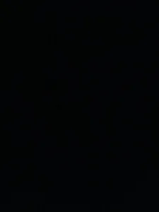 Public de Longcock4748 Foto 2