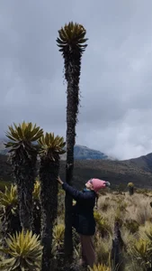 eva_rosse69 Public Immagine  4