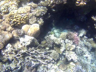 goroasroma90Public Bild