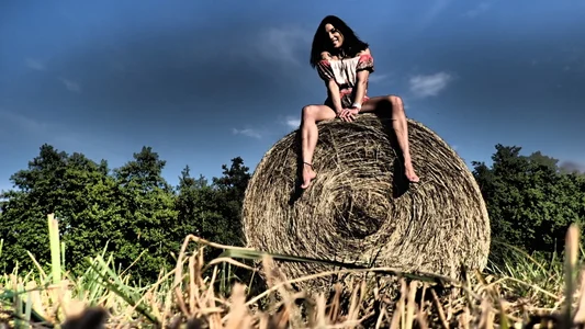 Orchideaxx kat Immagine  5