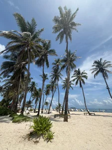 Zdjęcia IsabellaGrey19 sexy isabella♥:  7