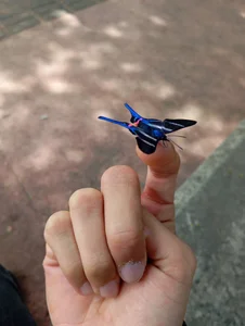 Zdjęcia Atley_Dolly Weird stuff:  6