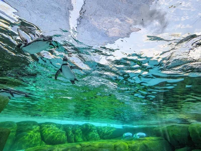 _hina_chan_Public Bild 3