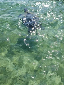 Youngboys30 kullanıcısının Public albümü -  fotoğraf