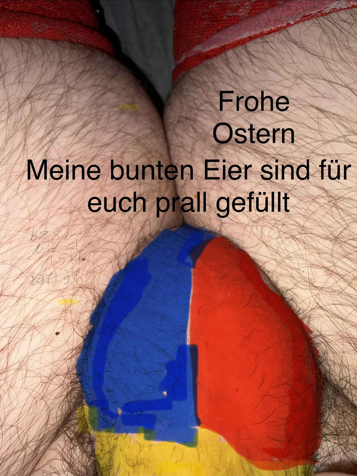 GeilerHSVFAN1989 Populært foto 3153