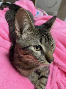 Nanami_19 ♥️🤭😋 사진 5