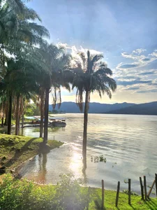 Alice_Barry A magical weekend 🌿🌻 Immagine  8