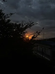 Chikinela's photo