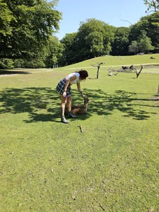 First time meeting deers🤩🥰 de Sarah-Stoner Foto 4