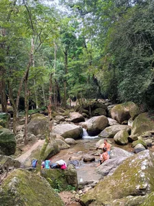 xt6601 Public Bilde 2