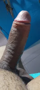 Pau cavalo de StereoSock  4 Imagens