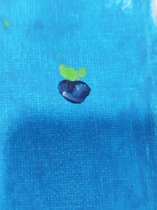 lana_blue_ kullanıcısının Art albümü -  4 fotoğraf
