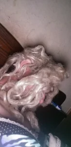 lola198803 Public Εικόνα 2